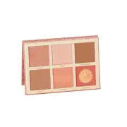 Blush Palette High Gloss Matte Fine Glitter 3-Dimensional2782