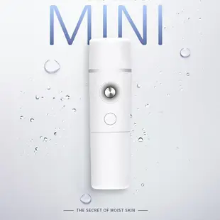 Portable Humidifier Mini Nano Facial Mist Sprayer Moisturizi