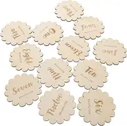 RORPOIR Monthly Milestone Wooden Growth Card Set 12pcs Announcement Sign Birth Announcement Sign Milestone Cards