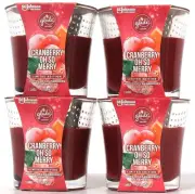 2 Ct Glade 3.4 Oz Limited Edition Cranberry Oh So Merry 1 Wick Scented Candle