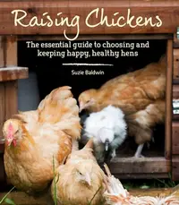 在飛比找誠品線上優惠-Raising Chickens: The Essentia