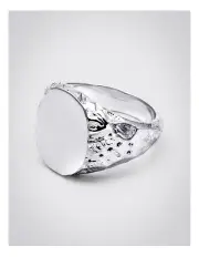 [Rawninety] Jasper 3.0 Ring in Silver