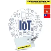 China Hong Kong Taiwan IoT SIM card M2M GPS kids watch car pet tracker wearable