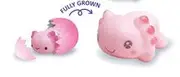 Hatching Eggs Toys Growing Axolotl