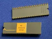 TR1402A-00 06 WD TR1402 40-PIN CERAMIC GOLD DIP IC VINTAGE COLLECTIBLE
