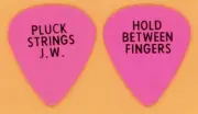 Eagles Joe Walsh Vintage Guitar Pick - 1982 You Bought It, You Name It Tour