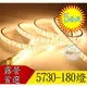 【瑞華】LED燈條5730 5米雙排180燈珠 暖光/白光 燈帶 露營防水軟燈條5米 天幕 炊事帳 裝潢 適用110V