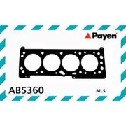 Payen Head Gasket - AB5360