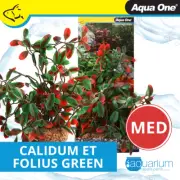 Aqua One Ecoscape Medium Calidum Et Folius Green (28462)