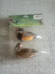 Geese Birds 2 In A Package Of A Feather For Arts & Crafts Projects New