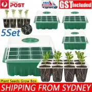 5 Set 12 Hole Plant Seeds Grow Box Propagation Nursery Seedling Starter Tray AU