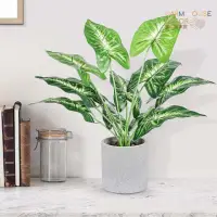 在飛比找momo購物網優惠-【Warm House Decor 暖和家居】北歐仿真植物擺