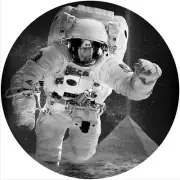 Slipmat Slip Mat for 12" Turntable LP DJ Record Player Moon Landing CONSPIRACY