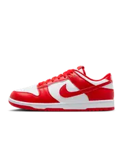 Nike Dunk Low Retro Men's Shoes