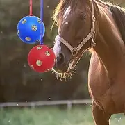 UOIENRT 2 Pack Horse Treat Ball, Goat Feeder Toys Horse Hay Ball Horse Ball for Feeding Horse Goat