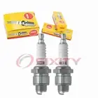 2 pc NGK 3810 B8S Standard Spark Plugs for W24S-U W24S UJ2J TC42 MC42 MC41 bk