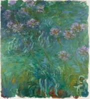 Agapanthus 1914 1926, Claude Oscar Monet, Wall Decor Art Print 14" x 11" 3204