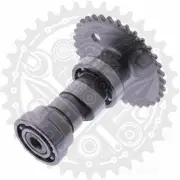 Standard Camshaft For Jmstar Flagship 125 2013-2014