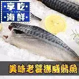 在飛比找遠傳friDay購物優惠-【愛上海鮮】頂級挪威薄鹽鯖魚16片組(140g±10%/片)