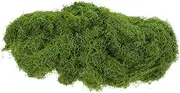 Totority Simulated Lawn Moss 100g Artificial Moss Mat User-Friendly Simulation Decorative Plants for