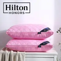 在飛比找Yahoo!奇摩拍賣優惠-Hilton希爾頓酒店款枕頭 立體絎縫賓館枕芯微商枕心