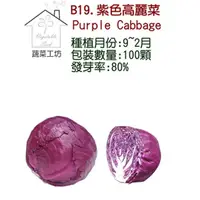 在飛比找momo購物網優惠-【蔬菜工坊】B19紫色高麗菜種子