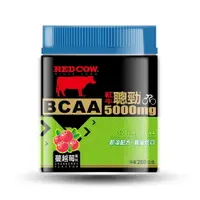 在飛比找運動市集優惠-【RED COW紅牛聰勁 】BCAA (蔓越莓口味)260g