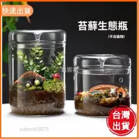 在飛比找蝦皮購物優惠-高CP值📣苔蘚生態瓶 高透明玻璃露集杯 植物盆栽盆景生態玻璃