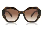 Prada PR 16WS Symbole 2AU6S1 Women Sunglasses