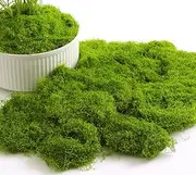 100g Fake Moss, Artificial Moss for Landscaping, Realistic Decorative Faux Moss, Synthetic Green Turf for Planters & Potted Plants, Indoor & Outdoor Use (Light)