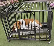 PEIPOOS Dog Crate Cage XL Kennel Indoor Heavy Duty Pet Escape Proof Crate for Medium and Large Dogs Removable Crate(Black)