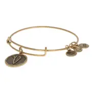 NEW Alex and Ani Initial V Bracelet - Gold Toned Monogram Letter Adjustable