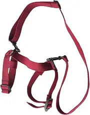 Elastic Carrying Strap for Picnic Blanket Durable Bandage Straps for Yoga Mat Travel and Outdoor Use for Camping and Beach Activities