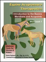 Equine Acupressure Workbook- Acupressure for Horses - Free Shipping