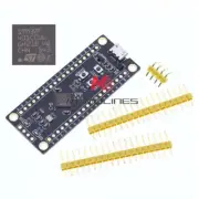 STM32F411CEU6 STM32F4 Type-C USB STM32F401CCU6 Minimum System Board For Arduino
