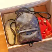 Louis Vuitton Palm Springs Mini Backpack Gift M4156 Authenticity Inspection S Q