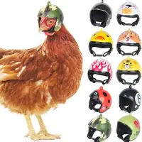 在飛比找蝦皮購物優惠-Pigeon Rutin 雞頭盔寵物用品鳥帽保護雞頭罩頭盔