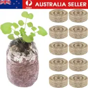 10-30Pcs Jiffy Peat Pellets Seedling Soil Block Starting Transplanting Plug Seed