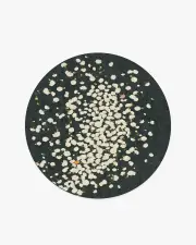 185' Round | Machine Washable Runner Rug | Kid & Pet Friendly | Indoor Rug | Fluttering Carnations Charcoal & Ivory Rug by The Local Project | Ruggable