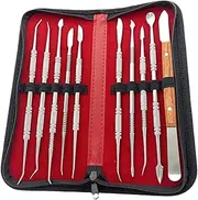 LAPOOH 10PCS Wax Carving Tool Set Stainless Steel Dental Instrument Versatile Kit Dental Lab Equipment Dental Tool Set with PU Holder Case