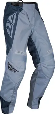 Fly Racing F-16 2024 Motocross Pants, grey, Size 36 for Men