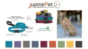 Lupine ECO Dog Collar or Step In Harness or Leash Recycled - Guarantee Made USA