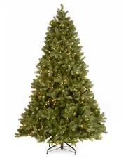 National Tree Company 6.5ft Feel Real Downswept Douglas Fir Tree with Clear Lights
