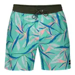 HURLEY｜男 PLAYA VOLLEY 17 AURORA GREEN 海灘褲