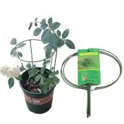 Plant Support Ring Metal Flower Garden Plant Vegetables Gardener Plant Support