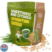 Todd's Seeds - 1lb Wheatgrass for Juicing and Catgrass for Pets – Grows Fast,