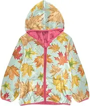 [Caihoyu] Sherpa Lined Toddler Hoodie Zip Sweatshirt Toddler Boy Winter Jackets