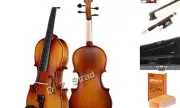 4/4 Violin Model 100 with Solid Wood with Case, Bow, and Rosin (1/10 - Size)