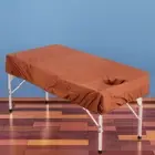 Wear-resistant SPA Bed Cover Washable Massage Sheet Elastic Table Cover Beauty