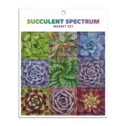 Succulent Spectrum Magnet Set by Galison 9780735364776 General merchandise